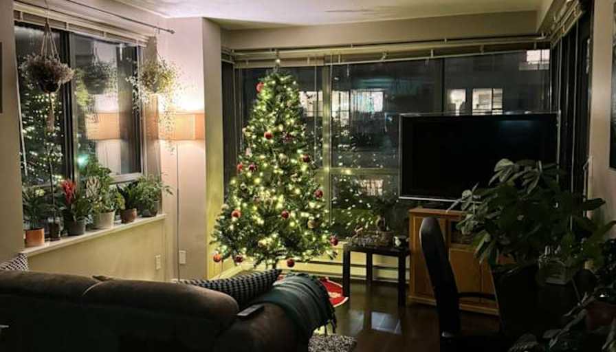 Photo of Pablo's room