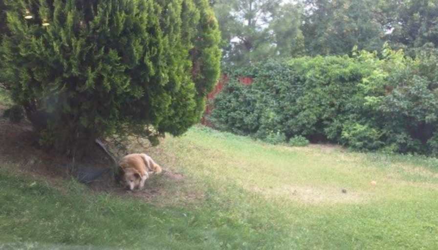 Photo of Dave's room