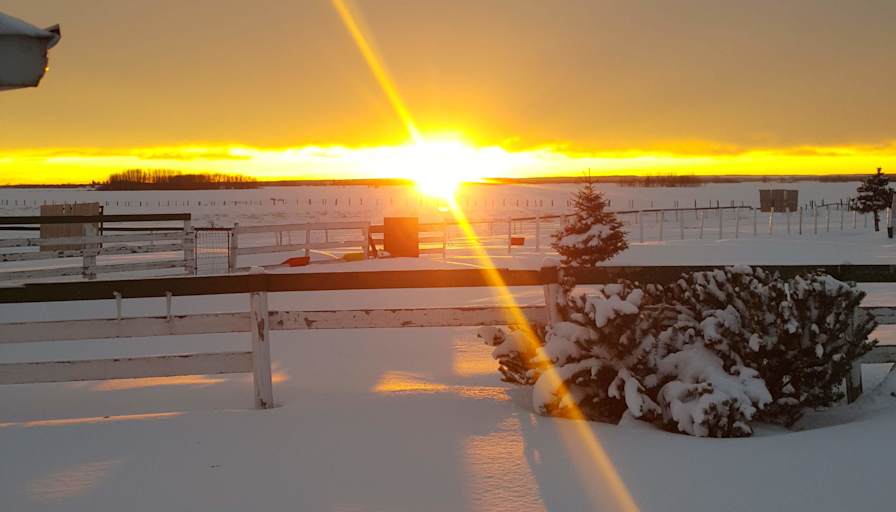 WW Farm & Ranch's room