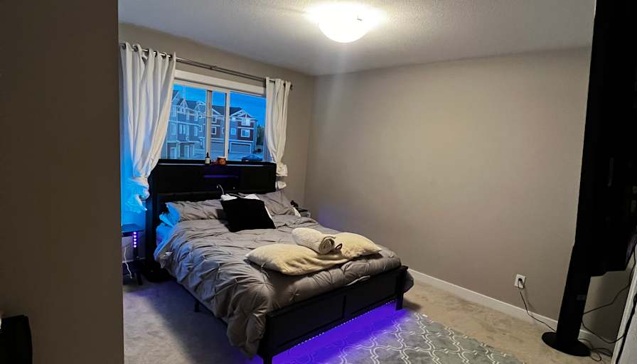 Photo of Dorsa's room