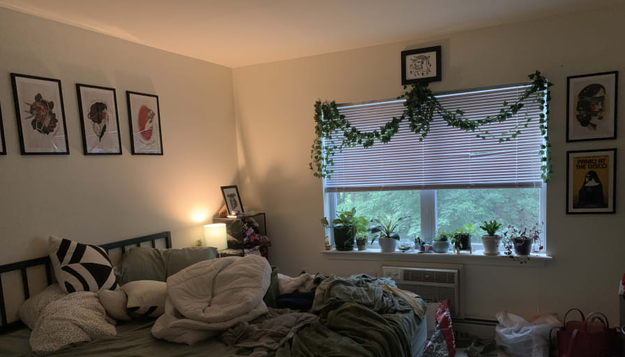 Photo of Tricia's room