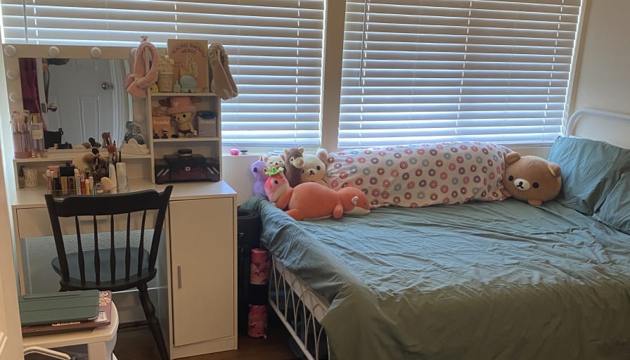 Photo of Anicia's room
