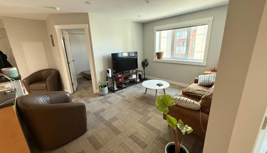 Fernando Suazo Billar's room