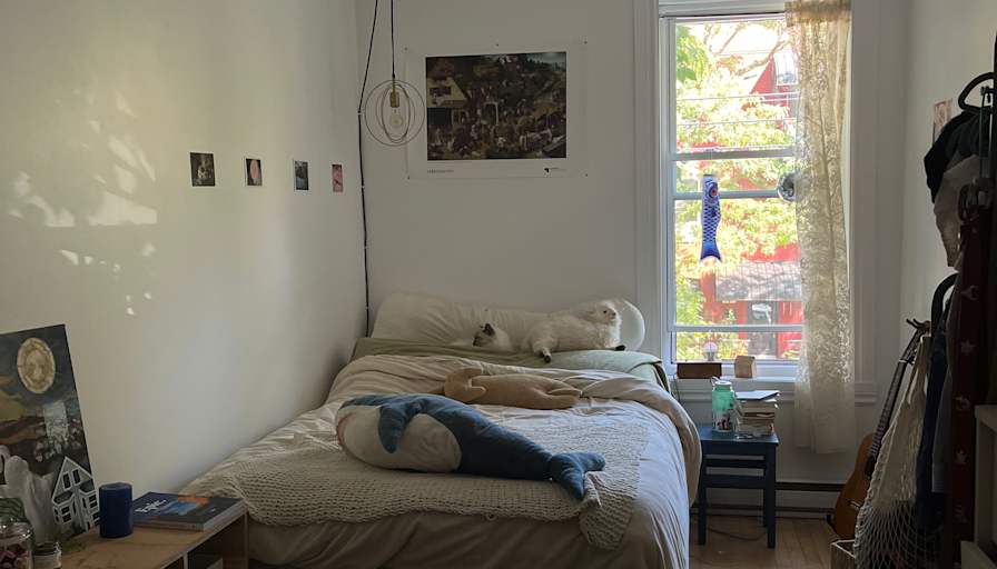 Photo of Sadie's room