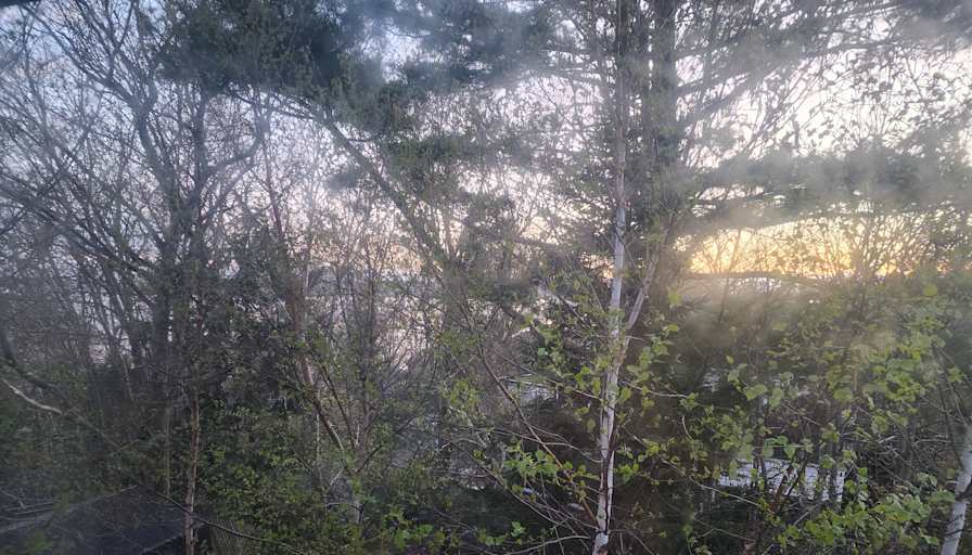 Photo of David's room