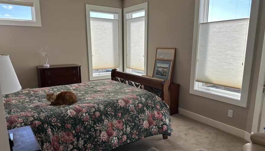 Photo of Ginger's room