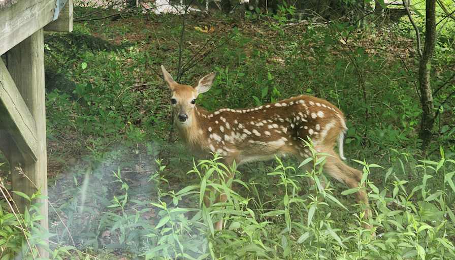 Photo of David's room