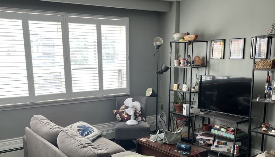 Photo of Layla's room