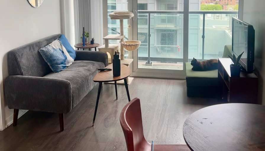 Photo of Aj Mc donnell's room