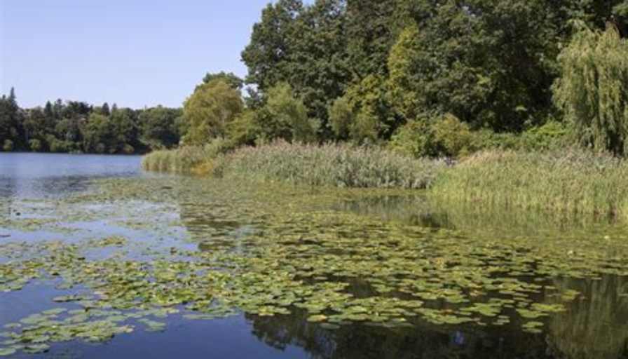 Claire Thorne's room