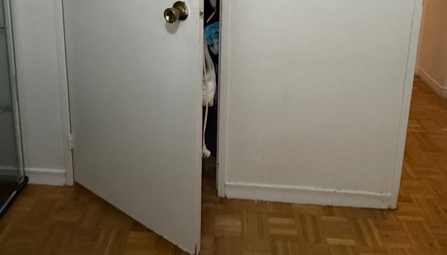 Rema Tungpalan-Piano's room