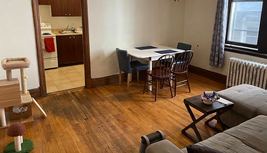 Eliana Ilieva's room