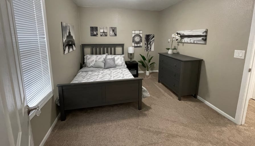 Photo of Brody's room