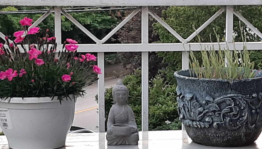 Photo of Marvin's room