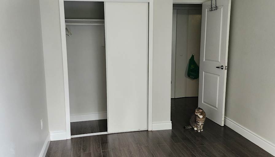 Lauryn Williams's room