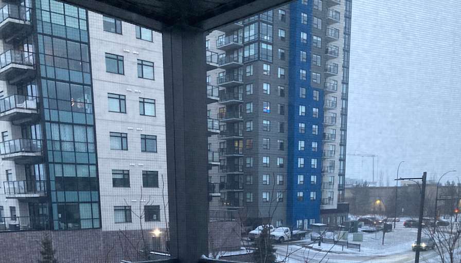 Photo of Shelly's room