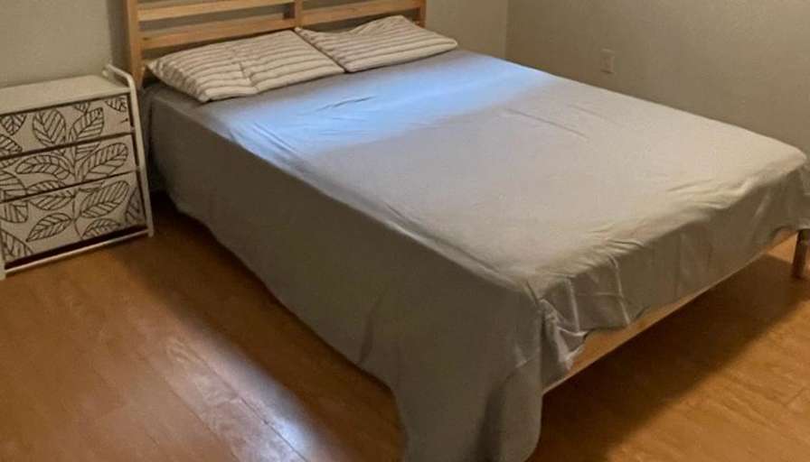 Syed Nasir Ali's room