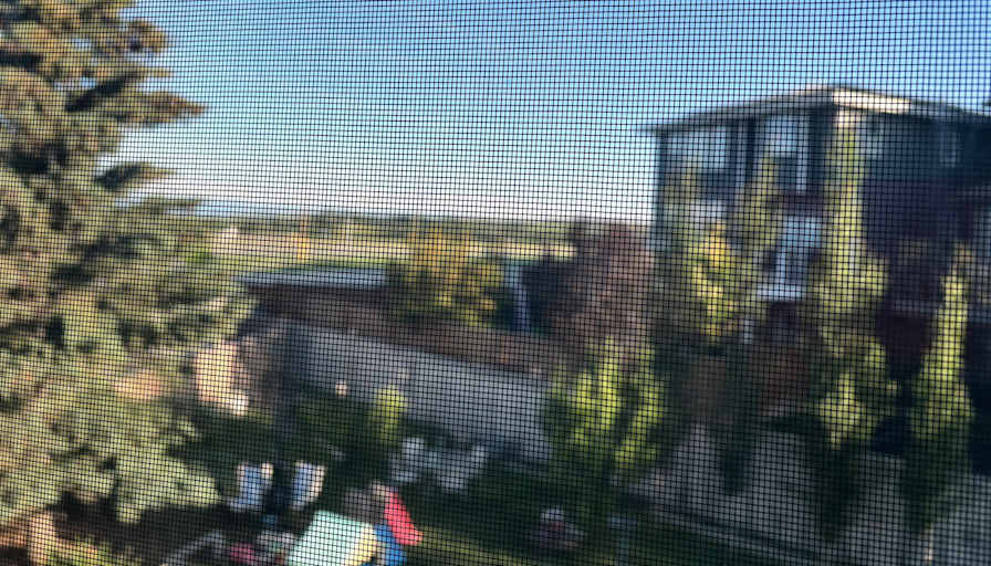 Photo of Marizza's room