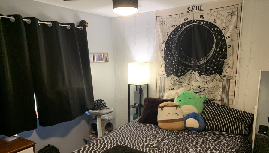 Photo of Diana's room
