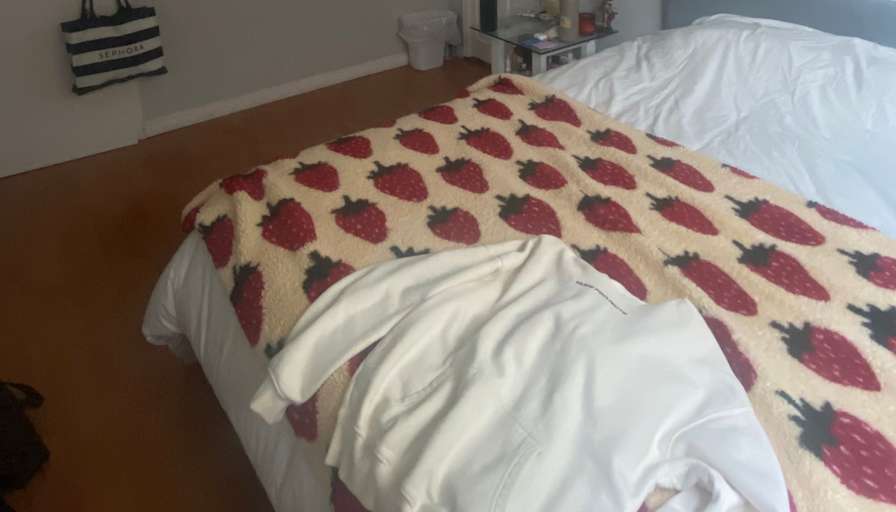 Photo of Niousha's room