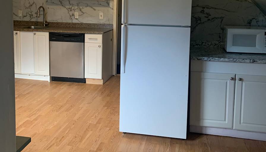 Photo of Brick on Brick's room