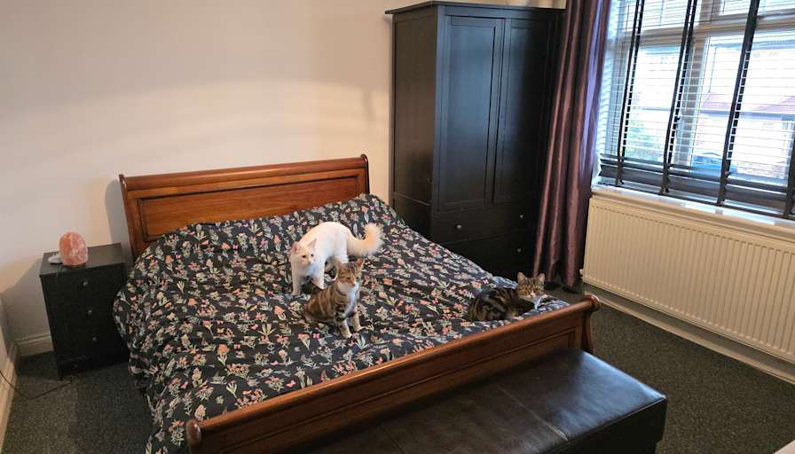 Photo of Robert's room