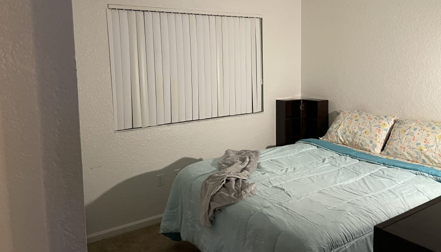 Photo of Stephie Louis's room