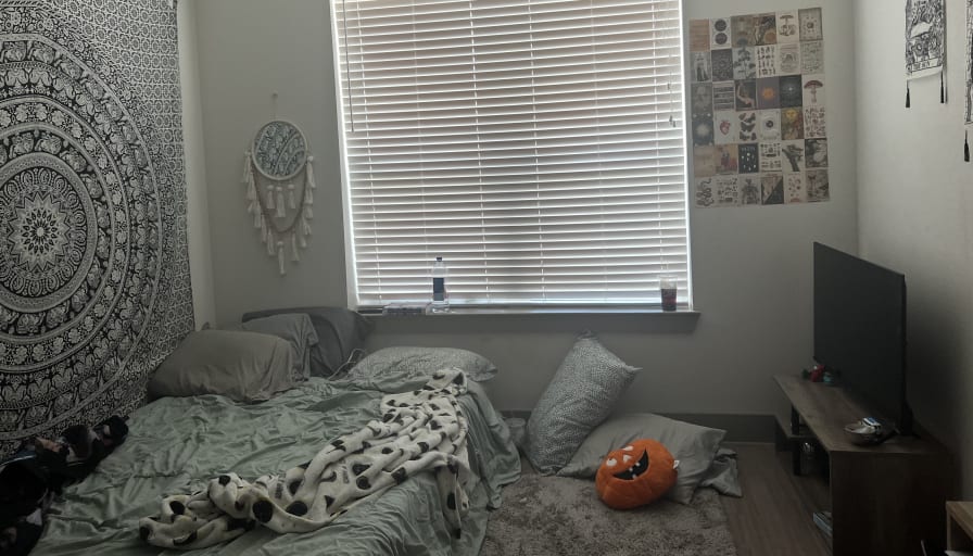 Photo of Samantha Meeks's room