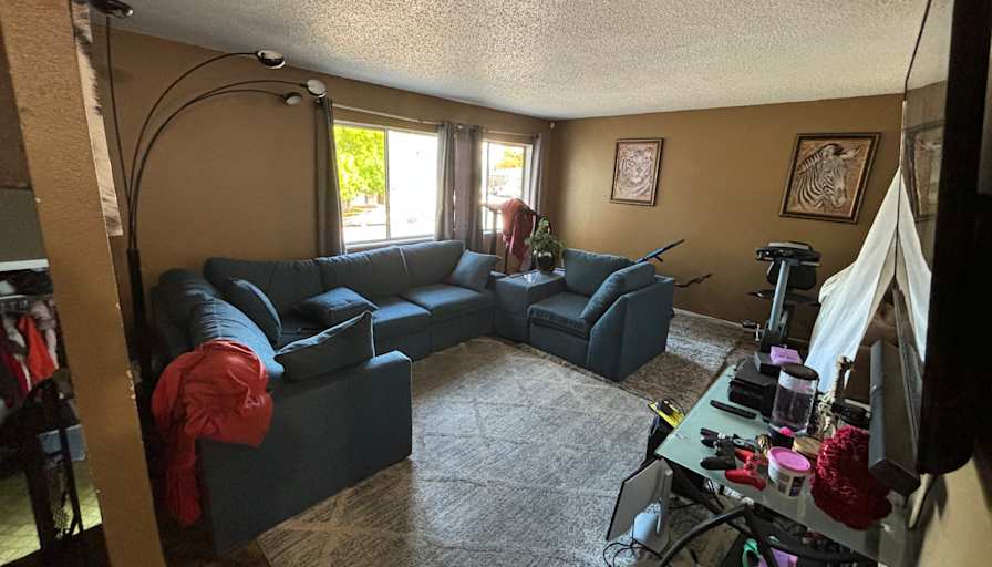 Private room to rent in share house South Coffman S...
