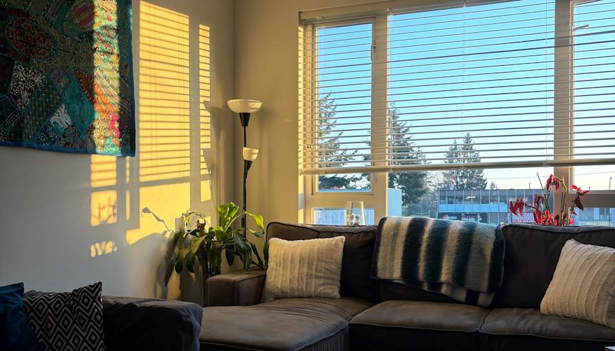 Photo of Rosie's room