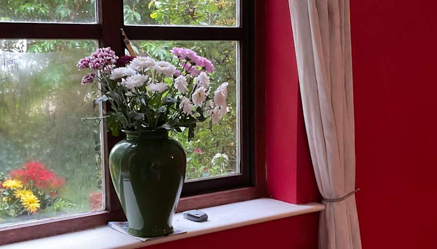 Photo of Juliette Andrews's room