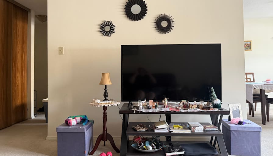 Sepideh Damercheli's room