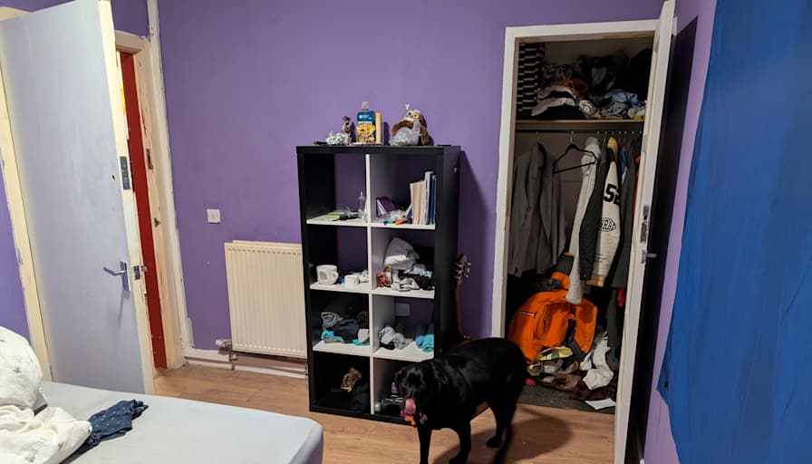 Photo of Jasper's room