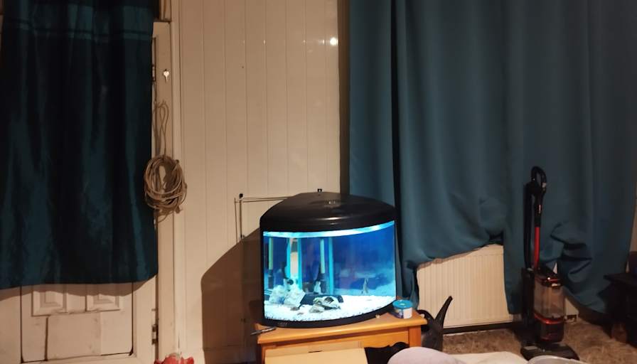 Photo of Mr Stephen Gammon's room
