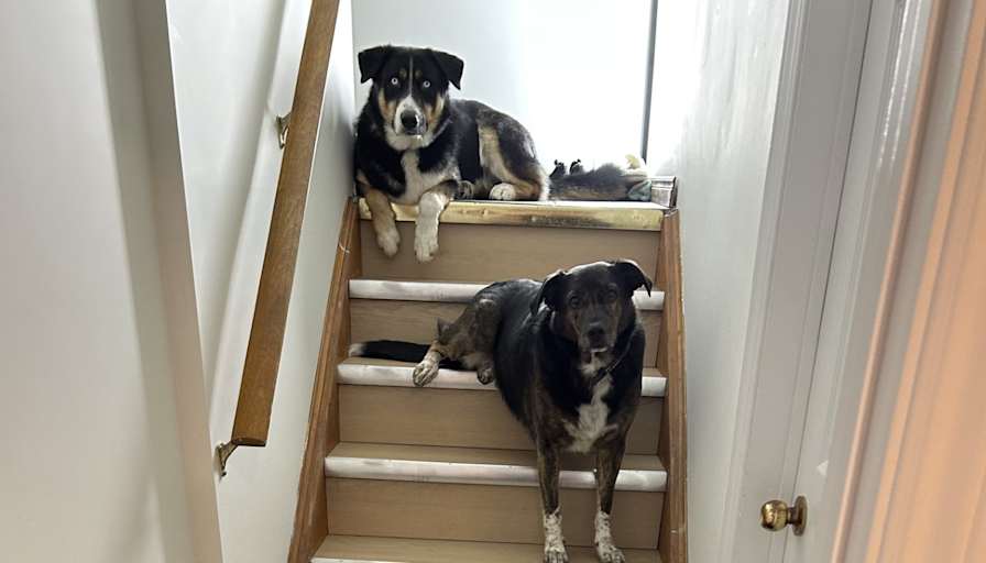 Photo of Stan Murphy's room