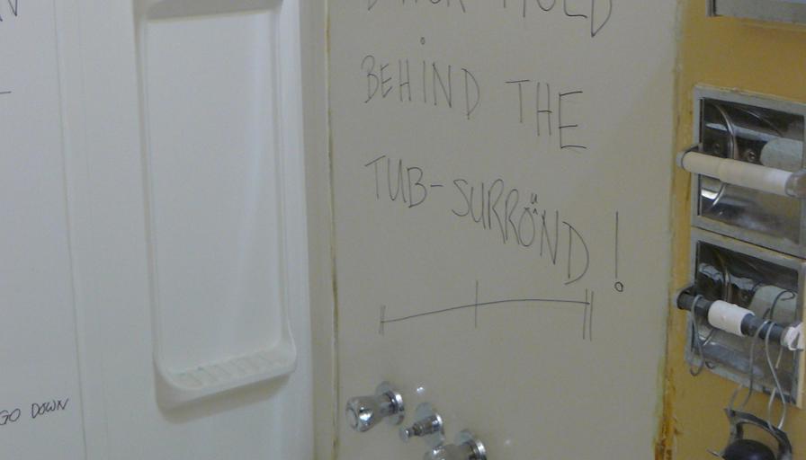 Miss Renee K. Taylor--Wants to help resolve an unconfirmed Crime-Incident--University Degree--Theatre Buff's room