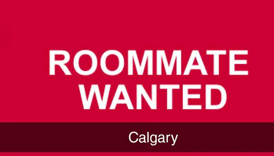 Photo of Stephanie's room