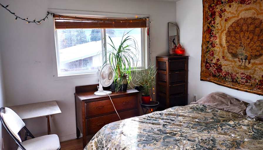 Photo of sheila's room