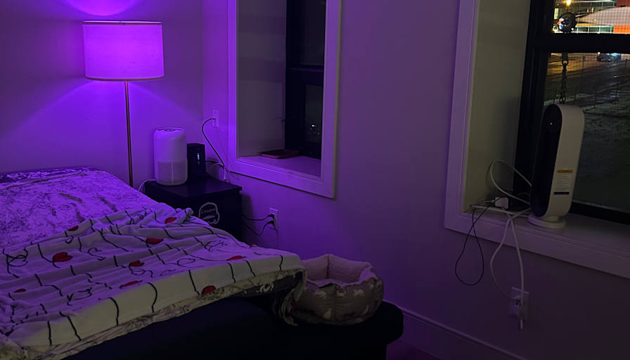 Lily's room
