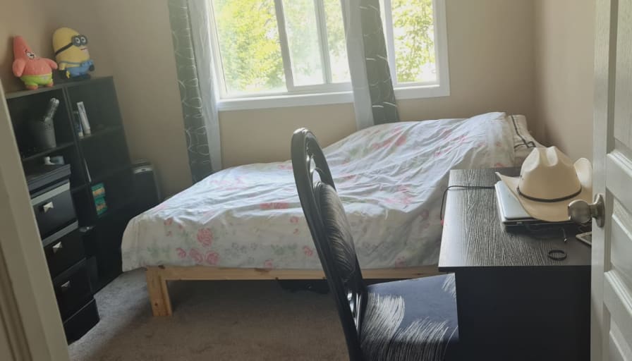 Ali Zowghinia's room