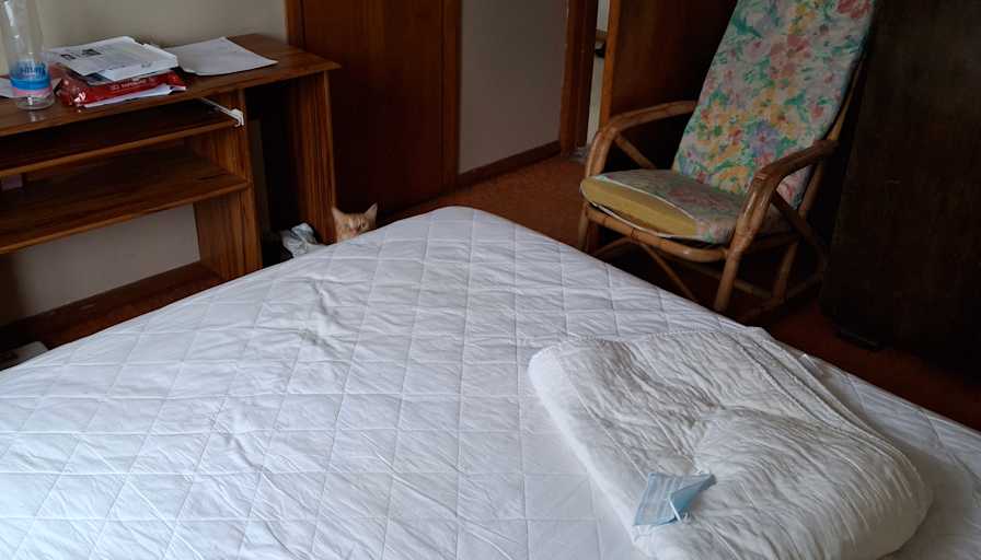 Photo of Nicole's room