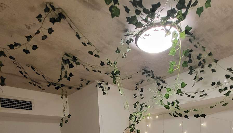Photo of Mich Anger's room
