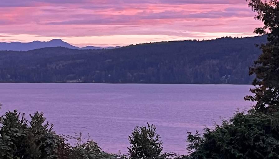 Rebecca Campbell's room