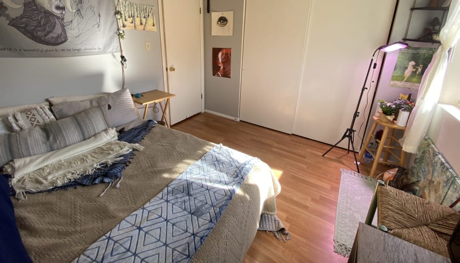 Photo of Storrie's room