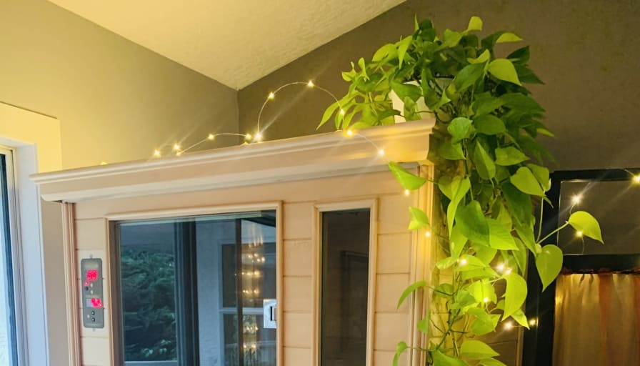 Maxine Fischer's room