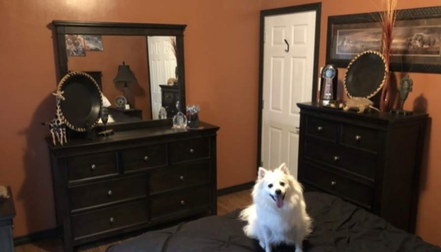 Photo of Brian's room