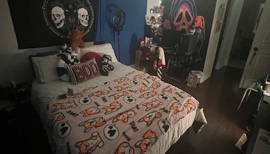 Photo of Myles's room