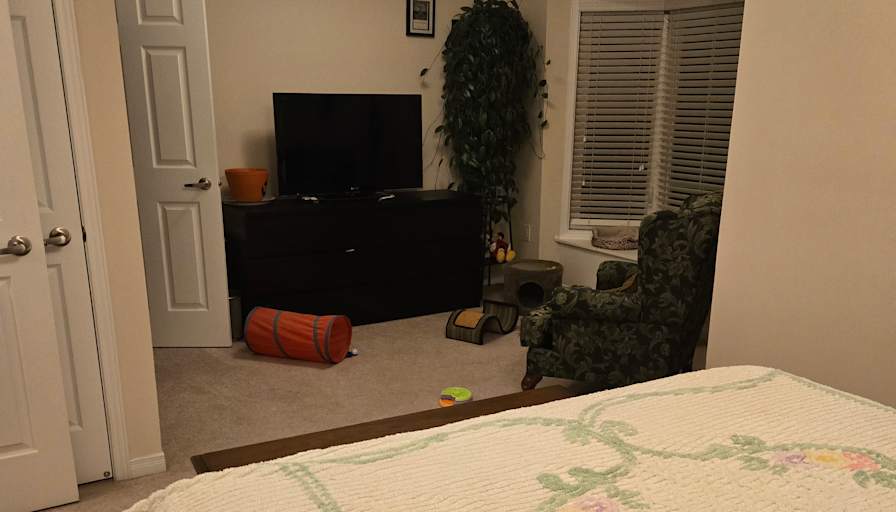 Photo of Sandra's room