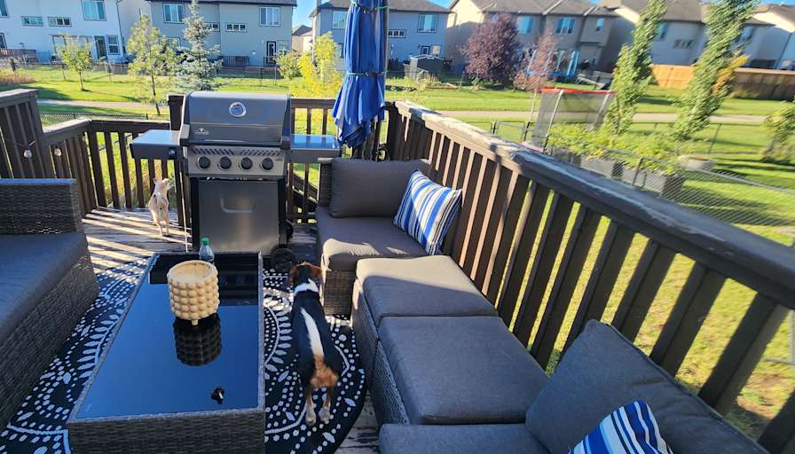 Photo of Courtney's room