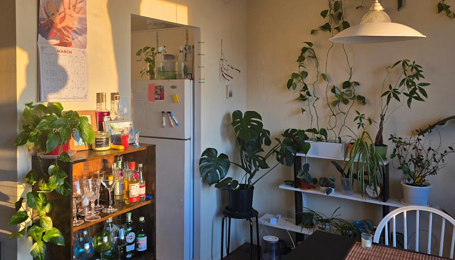 Photo of Mahima Singh's room